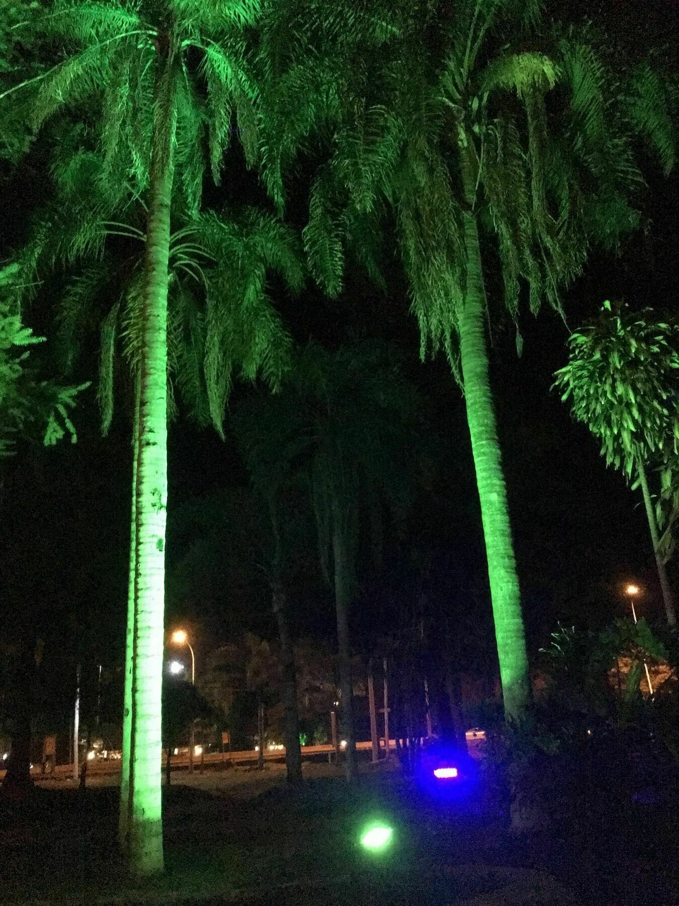 Tangoinn Club Iguazu Party Luxury Hostel Пуерто-Іґуасу Екстер'єр фото